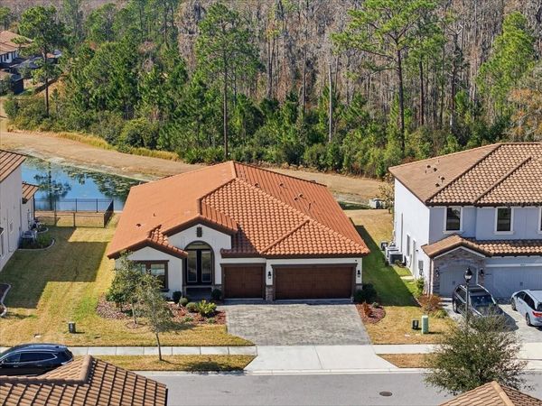 4011 BURDICK LOOP, ODESSA, FL 33556