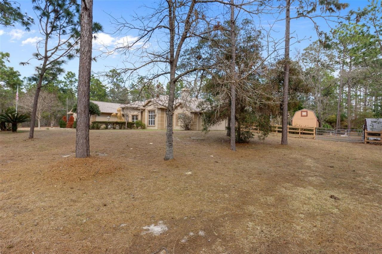 7567 N Fountainhead Drive, Citrus Springs, FL 34433 Photo