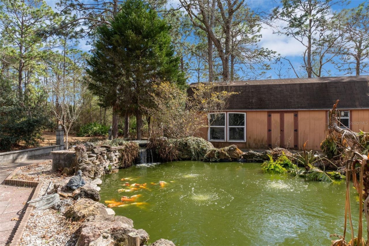 7567 N Fountainhead Drive, Citrus Springs, FL 34433 Photo