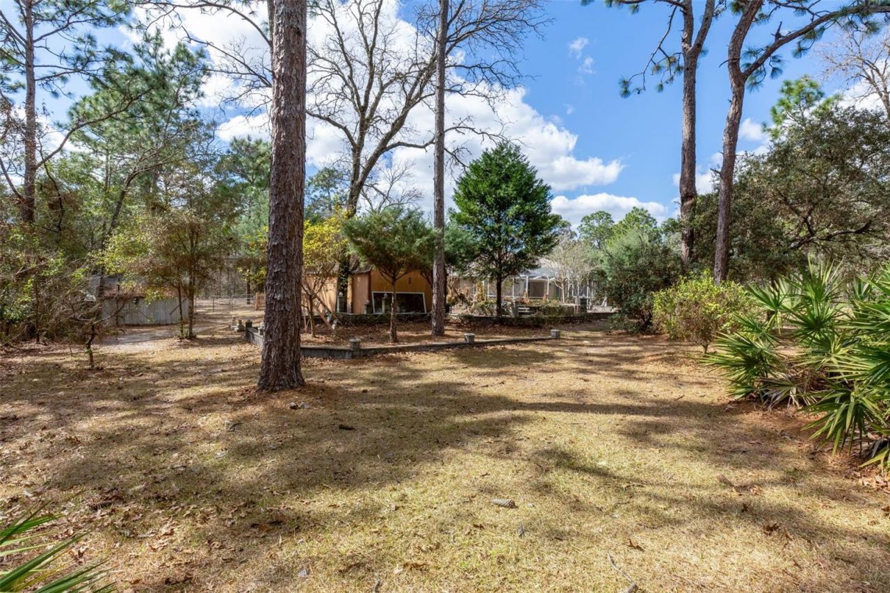 7567 N Fountainhead Drive, Citrus Springs, FL 34433 Photo