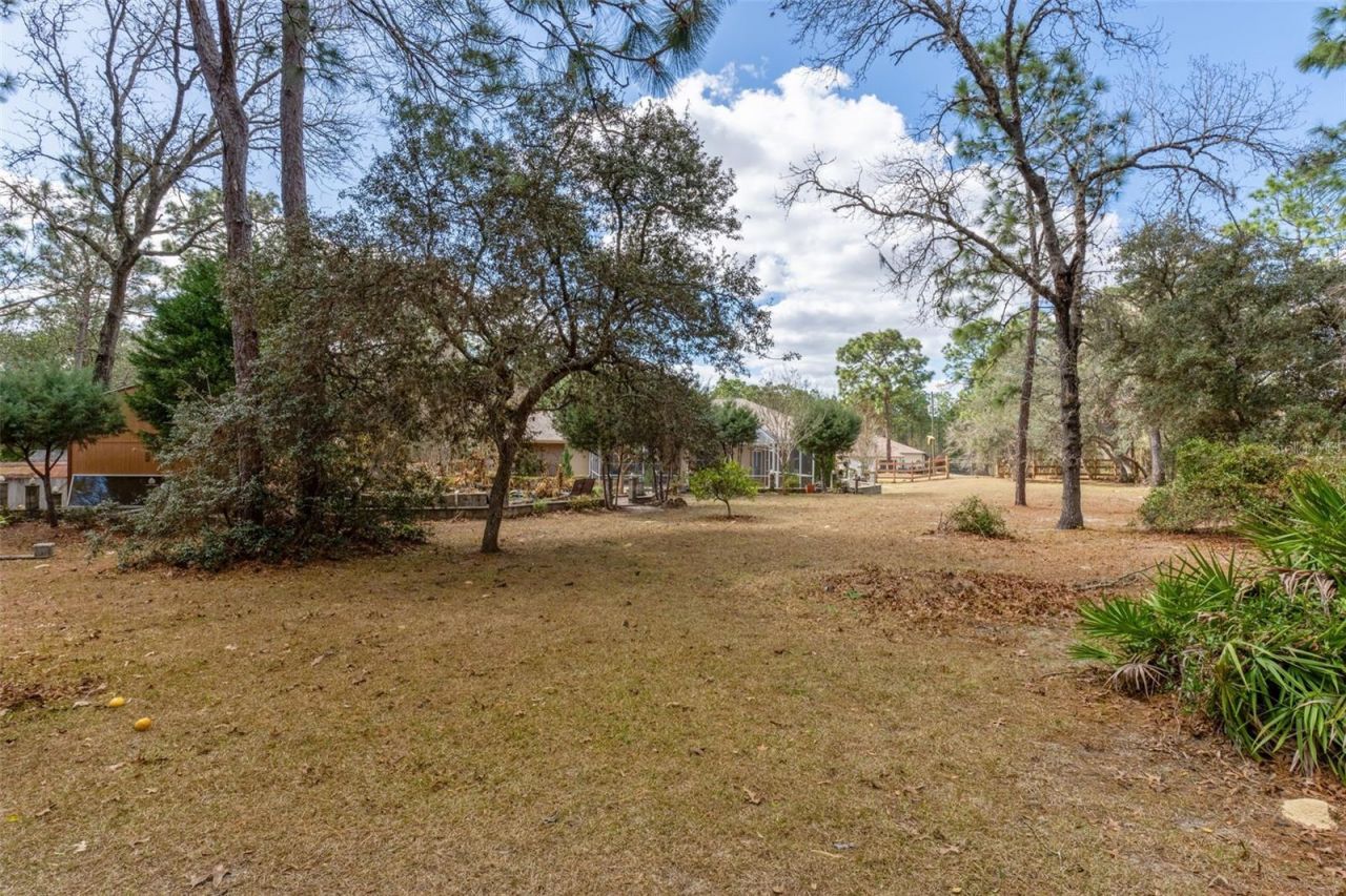 7567 N Fountainhead Drive, Citrus Springs, FL 34433 Photo