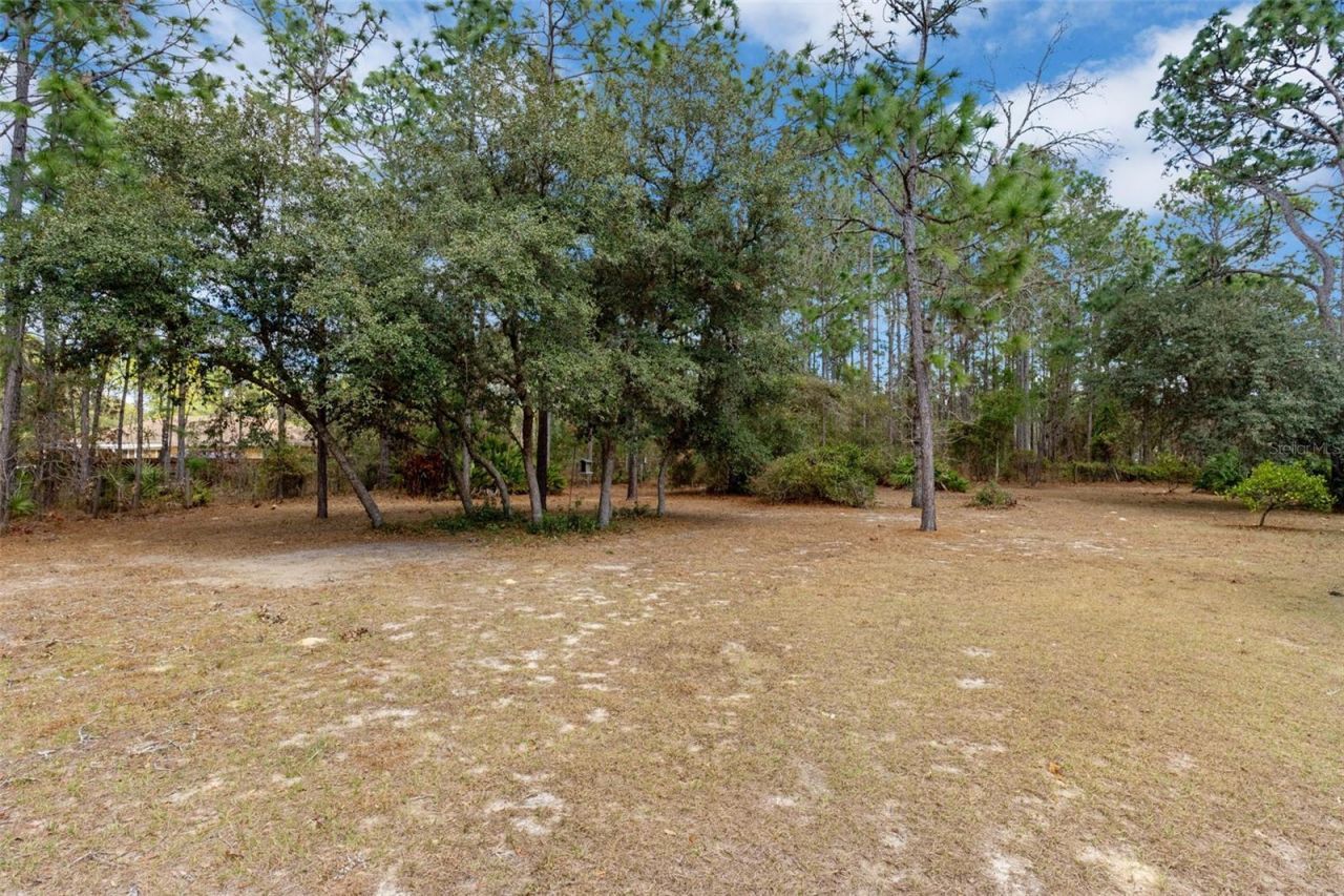 7567 N Fountainhead Drive, Citrus Springs, FL 34433 Photo