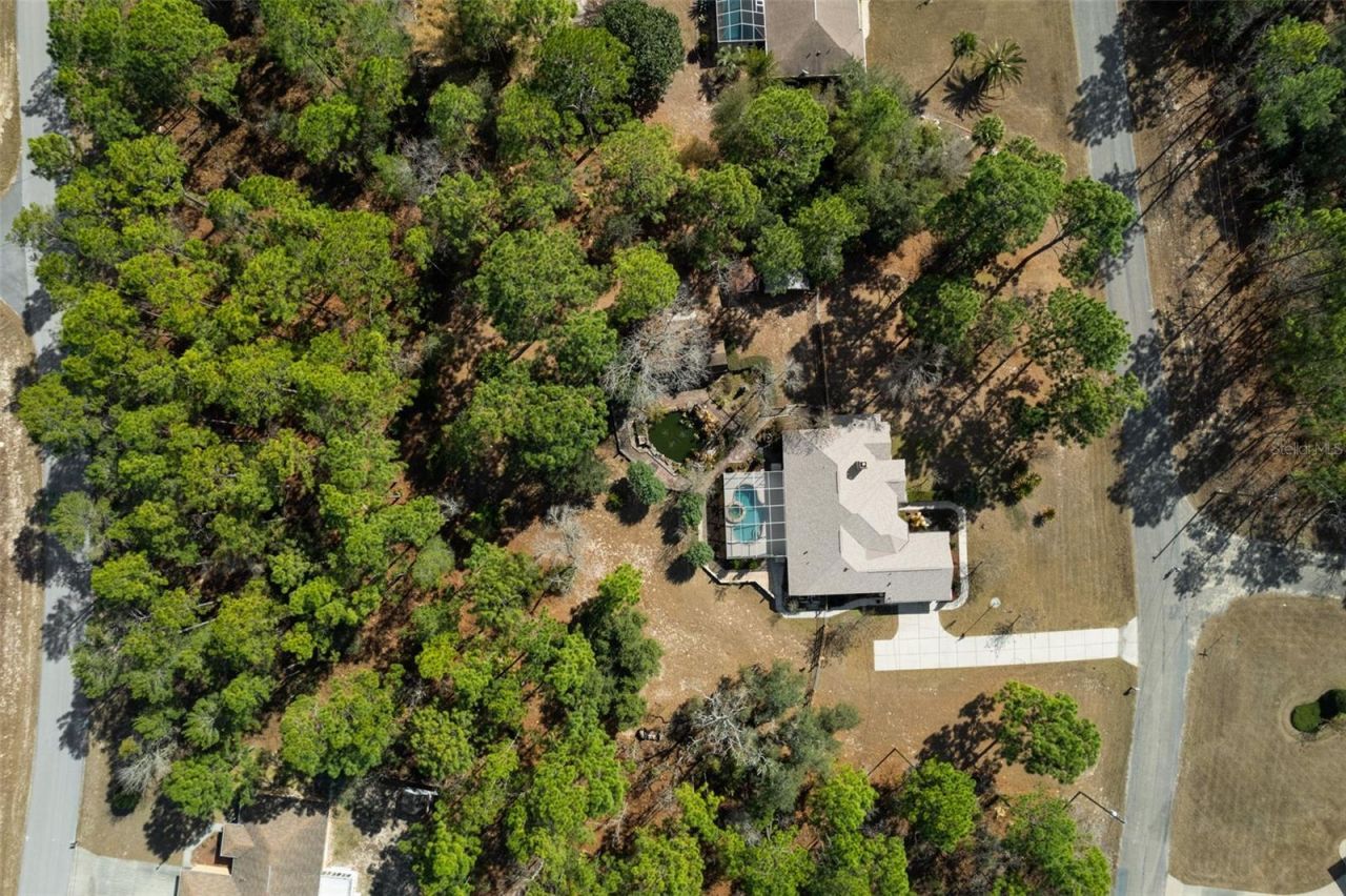 7567 N Fountainhead Drive, Citrus Springs, FL 34433 Photo