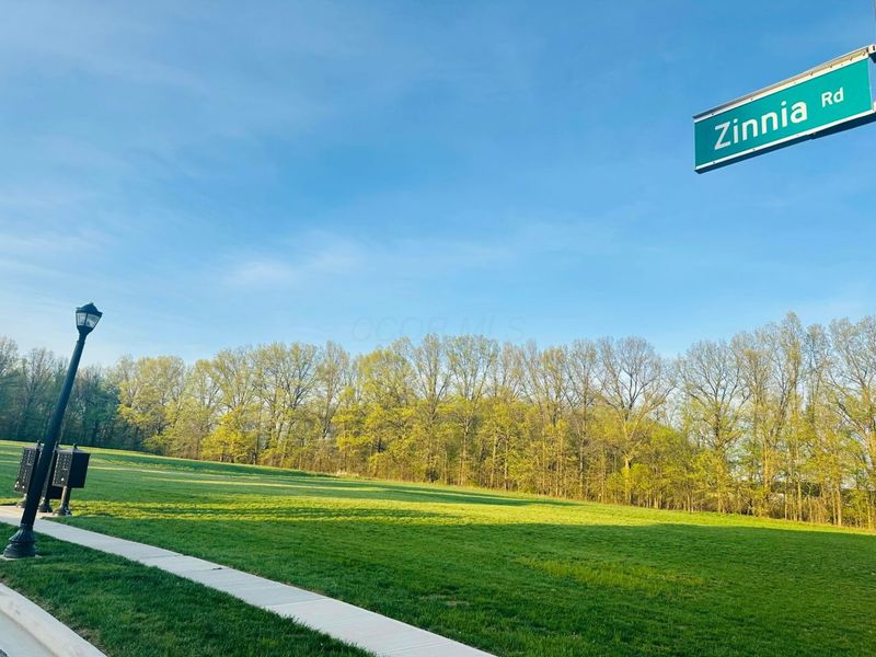 5709 Zinnia Road, Westerville, OH 43081 Photo 2