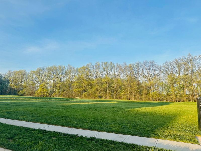 5709 Zinnia Road, Westerville, OH 43081 Photo 40