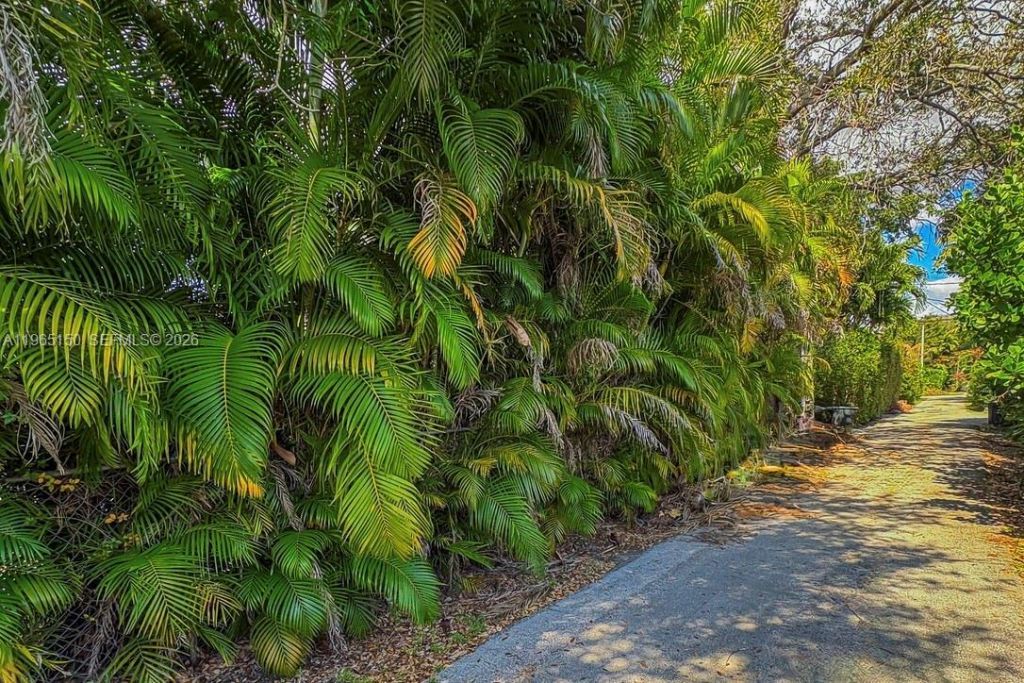 10301 N Miami Ave, Miami Shores, FL 33150 Photo