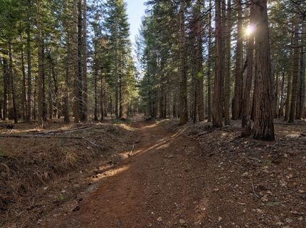 680 Sugar Pine Rd, Alta, CA 95701 Photo