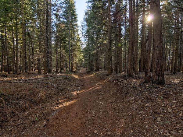 680 Sugar Pine Rd, Alta, CA 95701