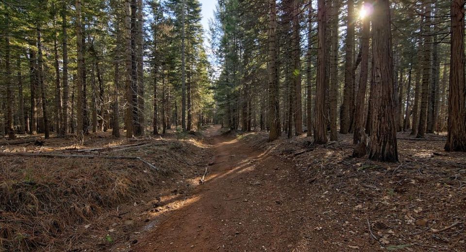 680 Sugar Pine Rd, Alta, CA 95701 Photo
