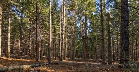 680 Sugar Pine Rd, Alta, CA 95701 Photo
