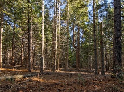 680 Sugar Pine Rd, Alta, CA 95701 Photo