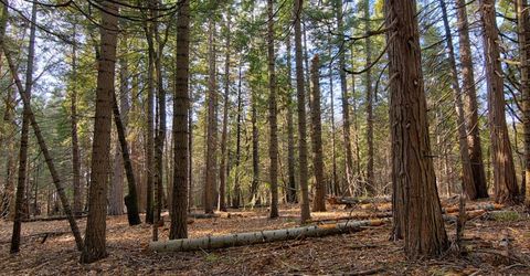 680 Sugar Pine Rd, Alta, CA 95701 Photo