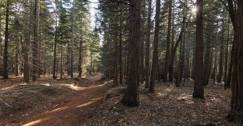 680 Sugar Pine Rd, Alta, CA 95701 Photo