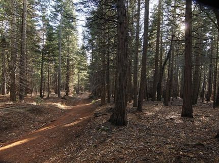 680 Sugar Pine Rd, Alta, CA 95701 Photo