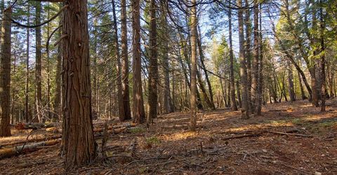 680 Sugar Pine Rd, Alta, CA 95701 Photo
