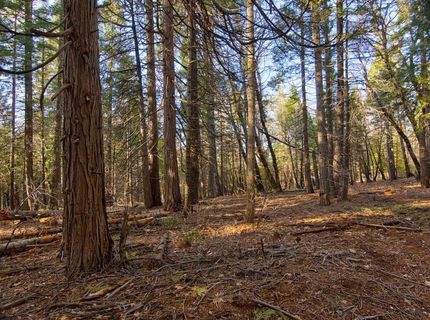 680 Sugar Pine Rd, Alta, CA 95701 Photo