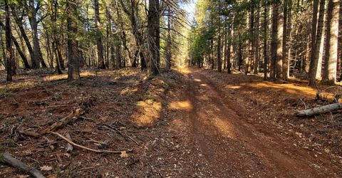 680 Sugar Pine Rd, Alta, CA 95701 Photo