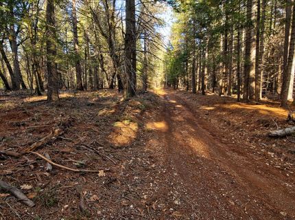 680 Sugar Pine Rd, Alta, CA 95701 Photo