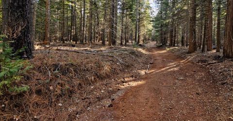 680 Sugar Pine Rd, Alta, CA 95701 Photo