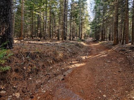 680 Sugar Pine Rd, Alta, CA 95701 Photo