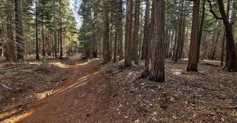 680 Sugar Pine Rd, Alta, CA 95701 Photo
