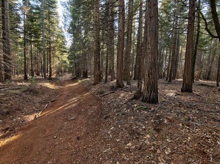 680 Sugar Pine Rd, Alta, CA 95701 Photo