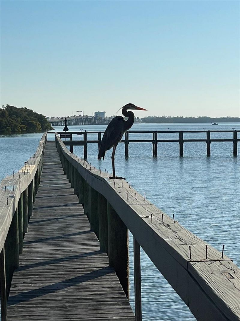 3701 East Bay Drive, Unit 5, Holmes Beach, FL 34217 Photo