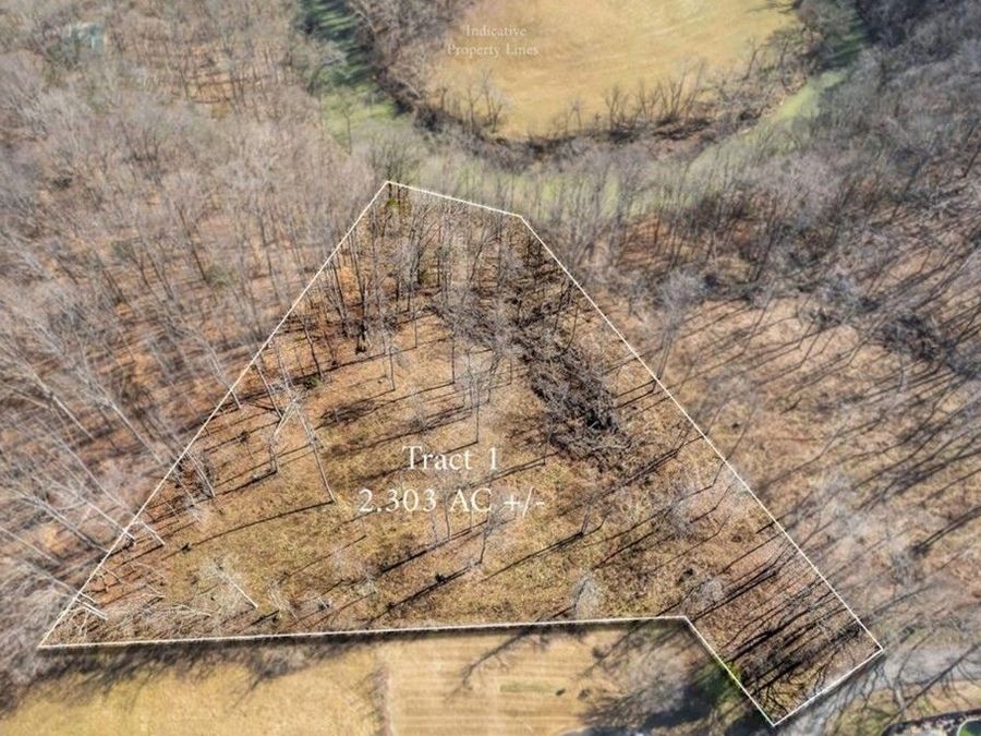 Property Image 4