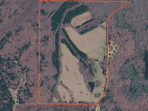 CR 147, Tishomingo, MS 38873