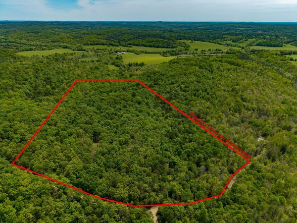 000 Private Road, Drury, MO 65638