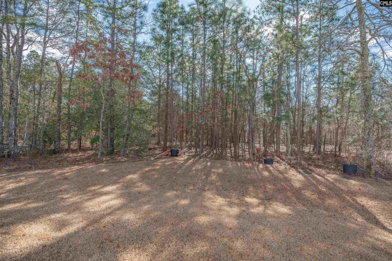 403 Nutsedge Court Photo 43