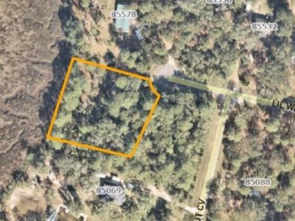 85580 LIL WILLIAM RD, FERNANDINA BEACH, FL 32034