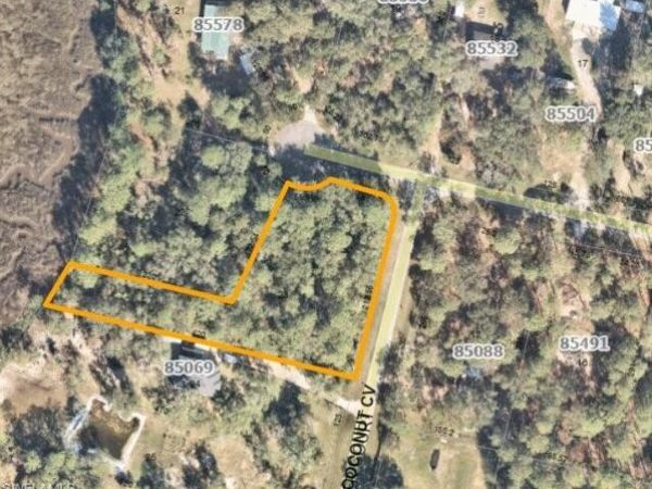 85070 BURMEISTER CT, FERNANDINA BEACH, FL 32034