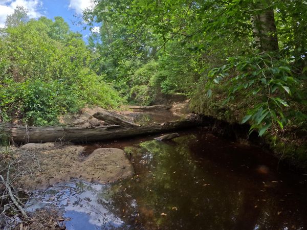 Christian Hts Road, Braxton, MS 39044