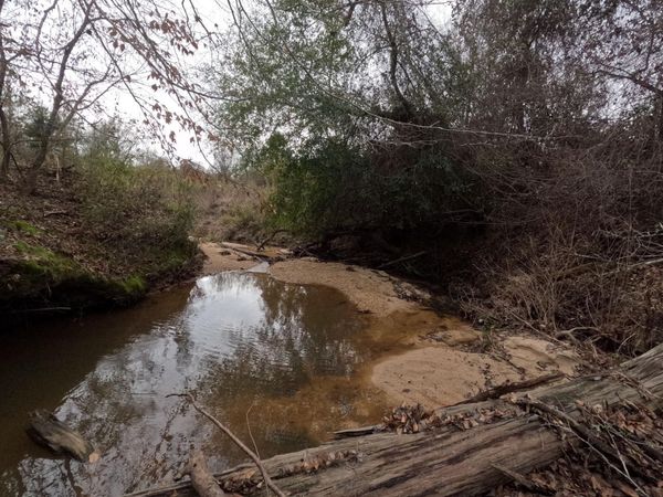 Christian Hts Road, Braxton, MS 39044