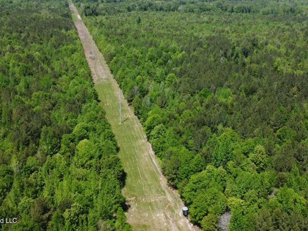 Christian Hts Road, Braxton, MS 39044
