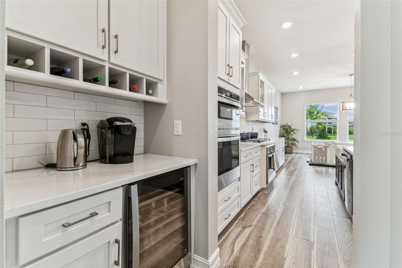 29895 Picana Lane, Wesley Chapel, FL 33543 Photo