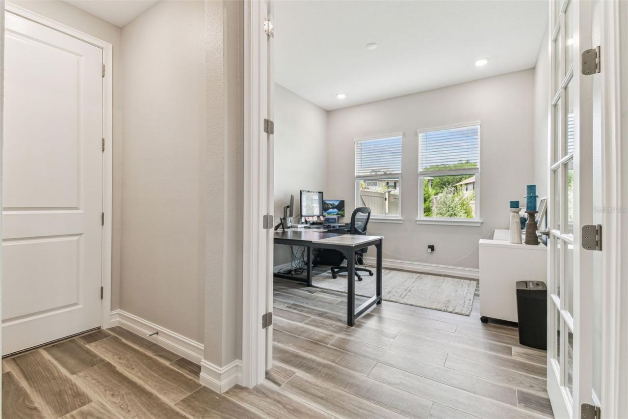 29895 Picana Lane, Wesley Chapel, FL 33543 Photo