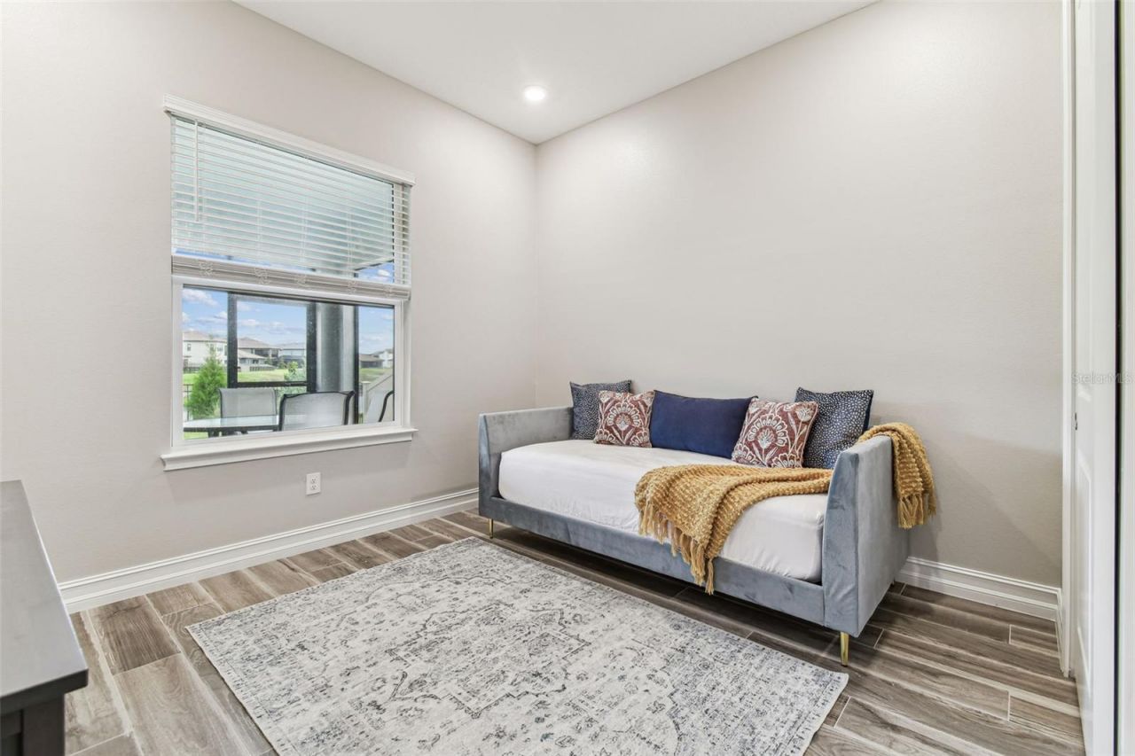 29895 Picana Lane, Wesley Chapel, FL 33543 Photo