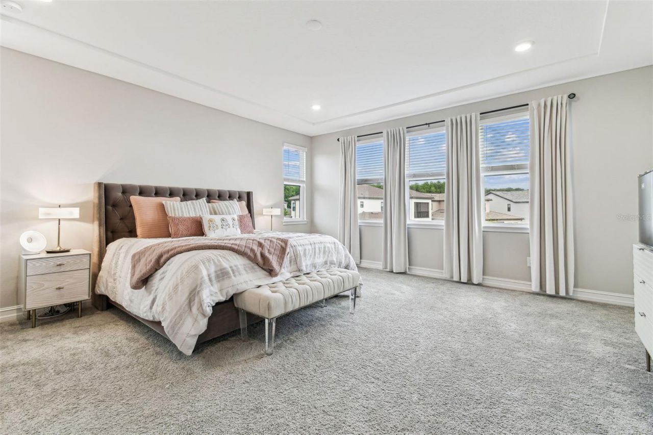 29895 Picana Lane, Wesley Chapel, FL 33543 Photo