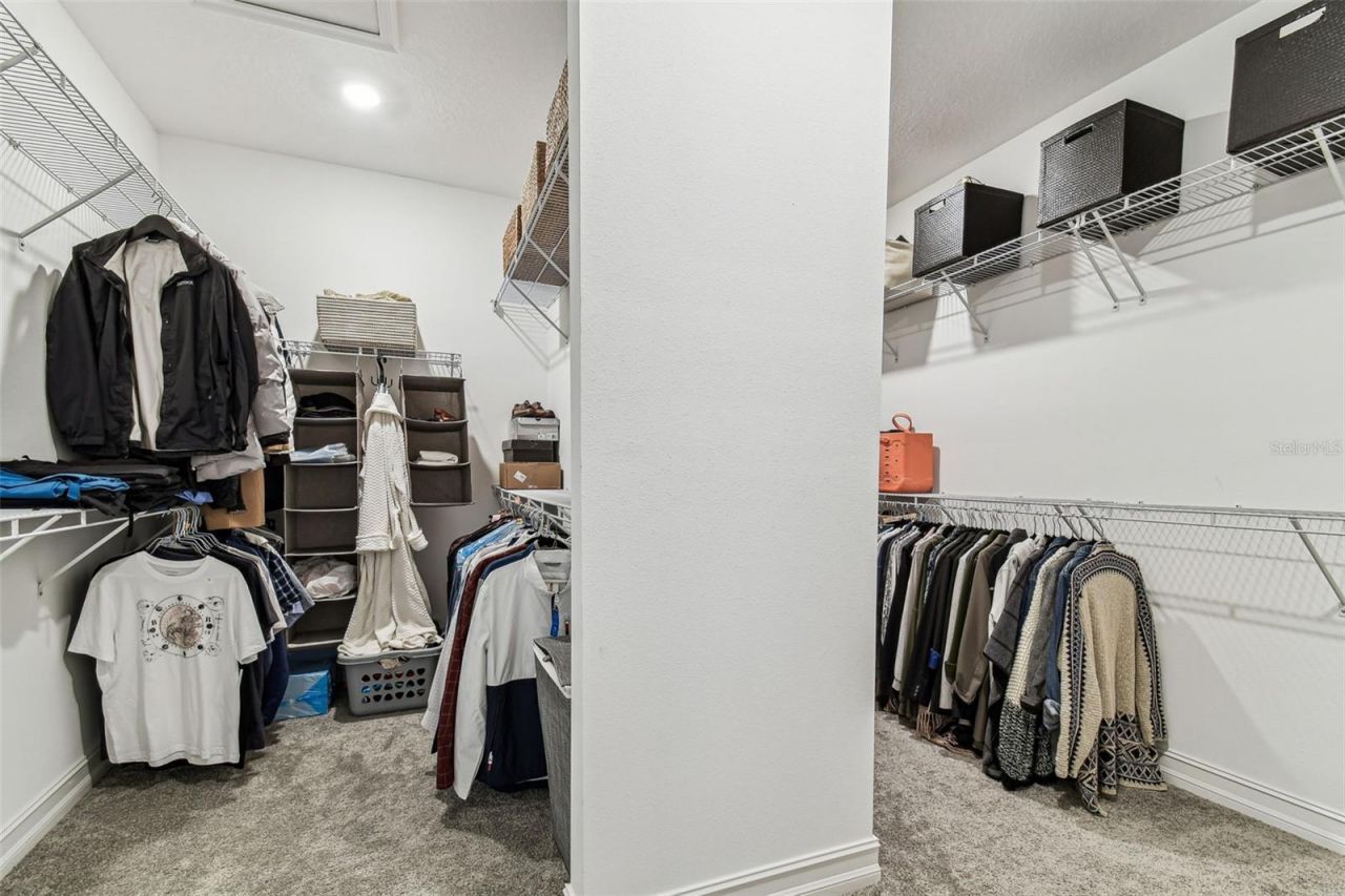 29895 Picana Lane, Wesley Chapel, FL 33543 Photo