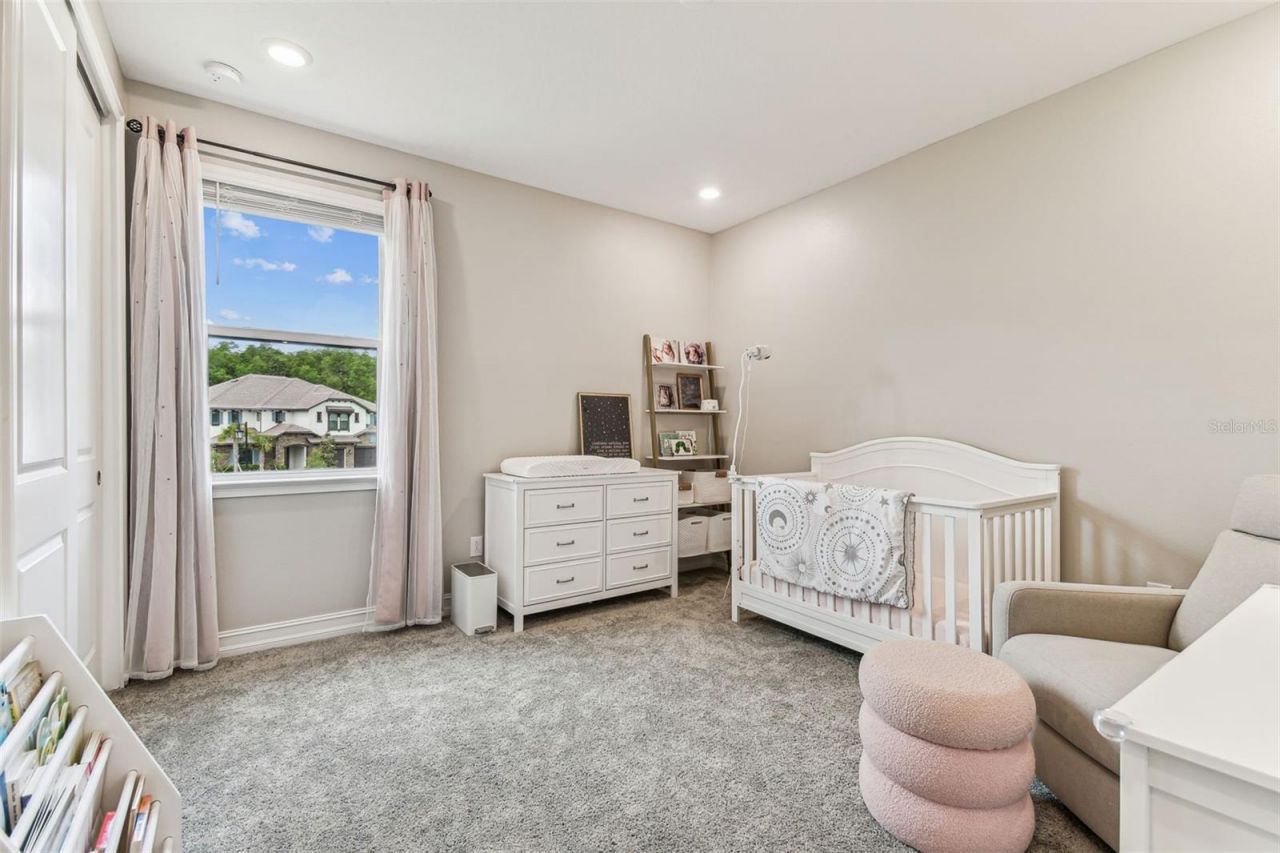 29895 Picana Lane, Wesley Chapel, FL 33543 Photo