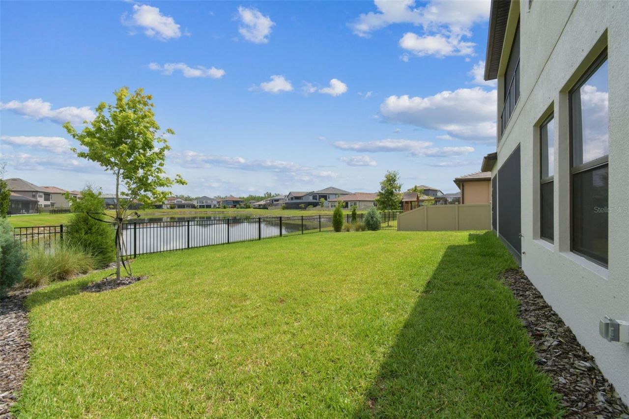 29895 Picana Lane, Wesley Chapel, FL 33543 Photo