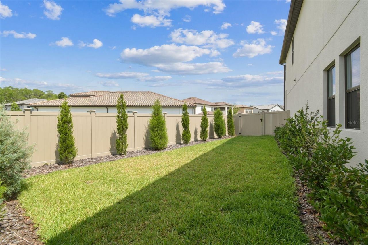 29895 Picana Lane, Wesley Chapel, FL 33543 Photo