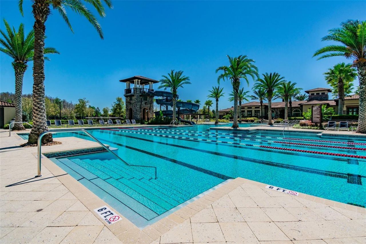 29895 Picana Lane, Wesley Chapel, FL 33543 Photo