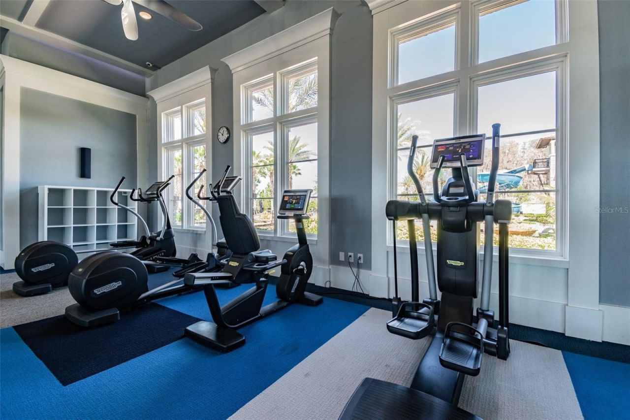 29895 Picana Lane, Wesley Chapel, FL 33543 Photo