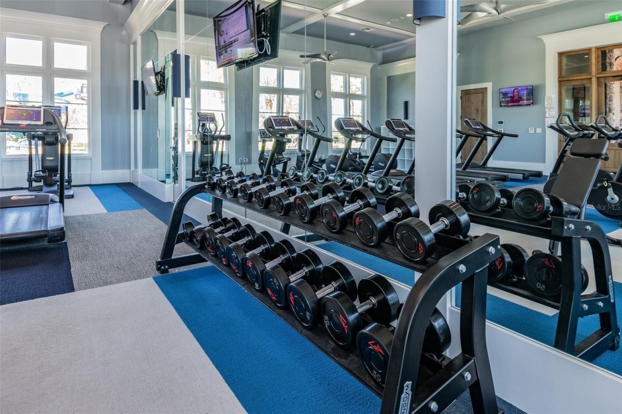 29895 Picana Lane, Wesley Chapel, FL 33543 Photo