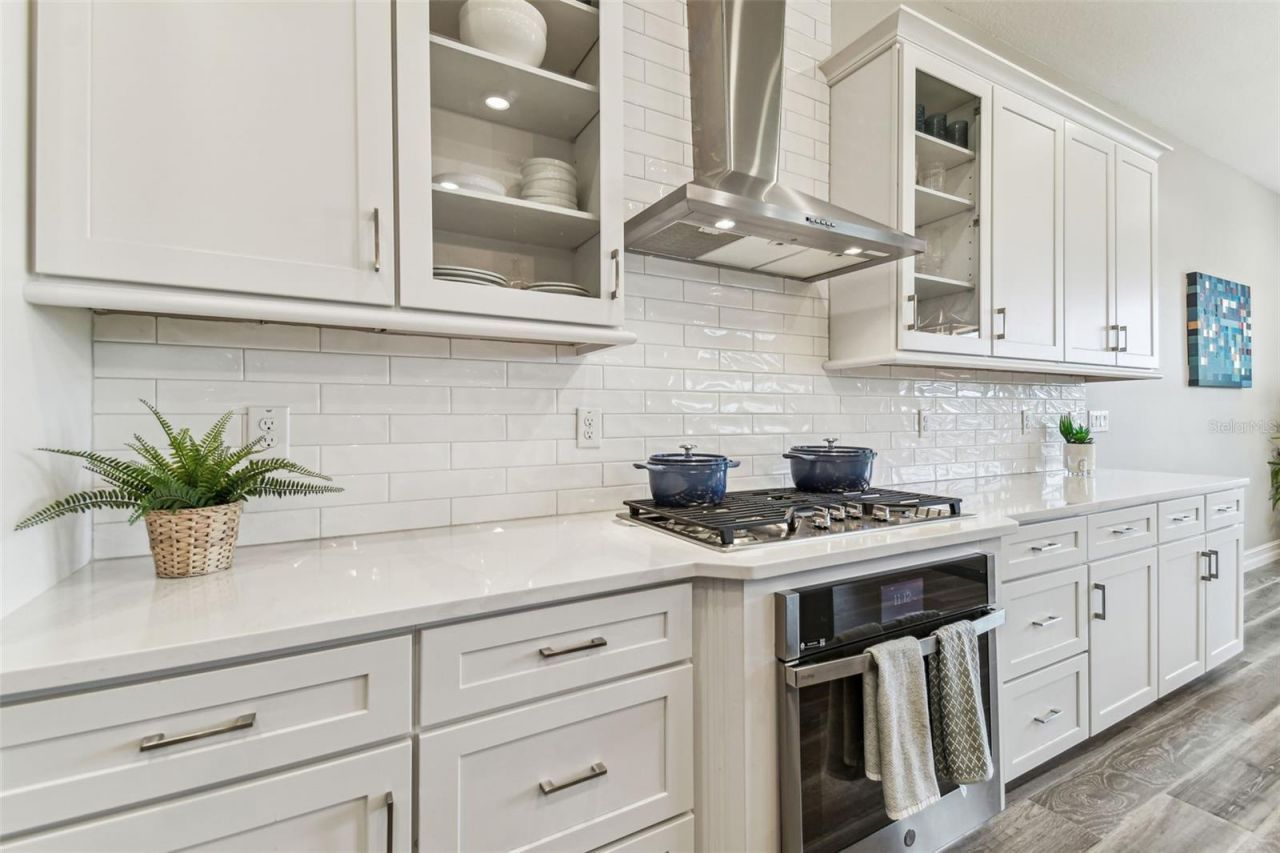 29895 Picana Lane, Wesley Chapel, FL 33543 Photo