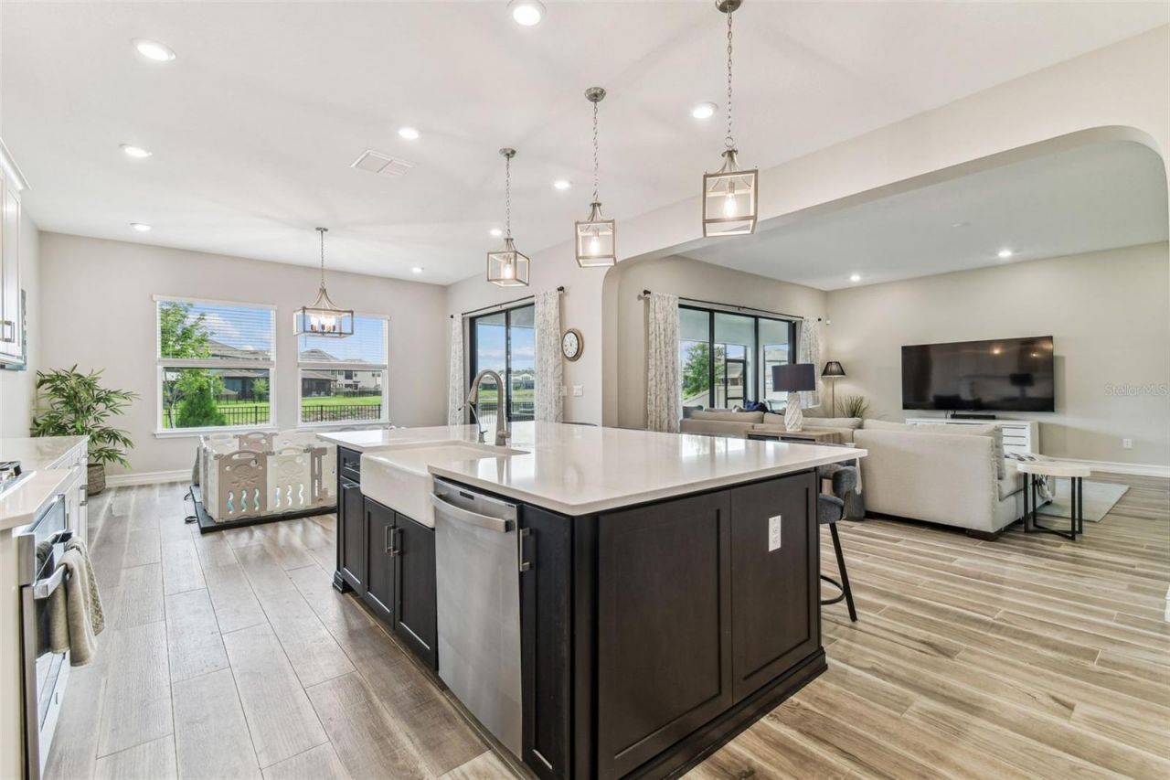 29895 Picana Lane, Wesley Chapel, FL 33543 Photo