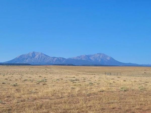 Lot 5 East Peak Ranches, La Veta, CO 81055
